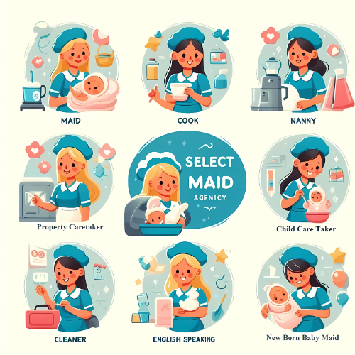 About Select Maid - Domestic Services